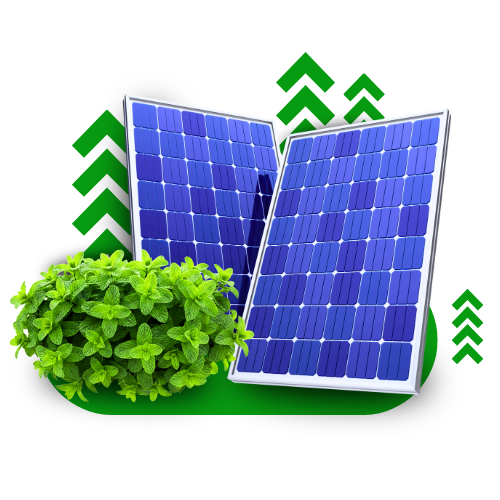 imagem reconhecimento